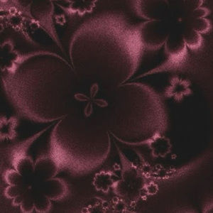 Meet your Posher, Gianna